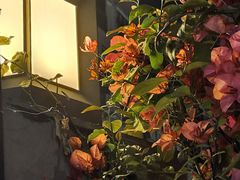 -川里谈·川味小馆(北京路店)