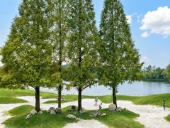 -南京银杏湖乐园