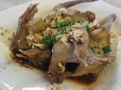 -百利鸽王(紫薇路店)