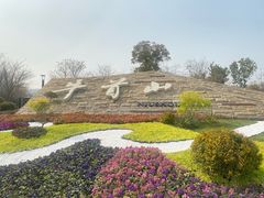 -牛首山文化旅游区