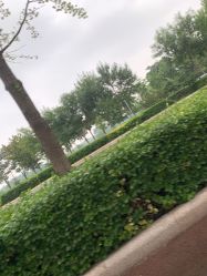 -HEYAN长风荷妍专业脱毛美肤
