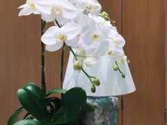 -Tiffany & Co.蒂芙尼
(南京德基广场店)