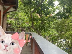 景观位-星巴克臻选(思南公馆店)