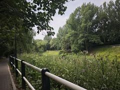 -黛秀湖公园