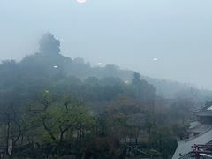 -七欣天香辣蟹火锅(南京建宁路大观天地店)