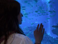 -海合安成都极地海洋公园