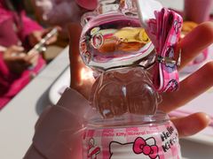 -安吉Hello Kitty乐园