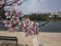 -新江湾城公园