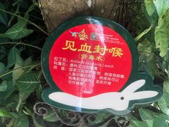-呀诺达热带雨林