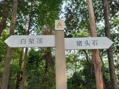 -火炉山森林公园