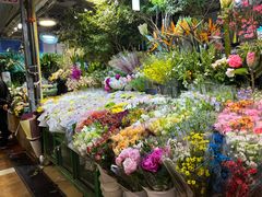 -朝来春花卉市场