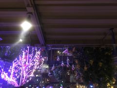 -胡桃里音乐酒馆(曲江店)