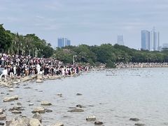 -深圳湾公园(南山区)