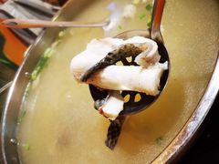 -老马斑鱼店(桂花路店)