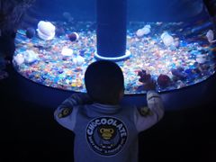 -成都浩海立方海洋公园