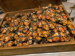 -新发展亚太JW万豪酒店·福苑咖啡厅