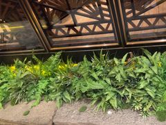 -小天厨民间菜馆(深圳街店)