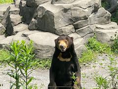 -宁波野生动物园