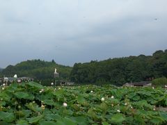 -古田会议纪念馆