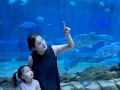 -华夏文旅西安度假区