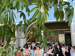 -SAANCI山池咖啡(海上世界文化艺术中心店)