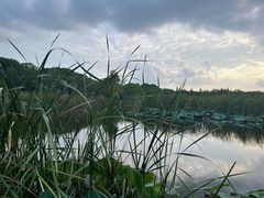 -同里国家湿地公园