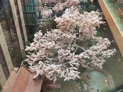 -嘉悦汗蒸时代(曙光路店)