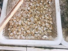 -明记海鲜大排档(巽寮湾店)