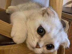 -0907餐厅(核桃园店)