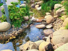 -活水公园