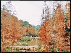 -云溪植物园