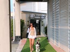 -汪说喵讲宠物乐园宠物酒店(红星美凯龙店)
