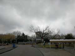 -上海第二工业大学(金海路校区)
