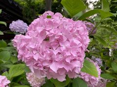 -江宁织造博物馆