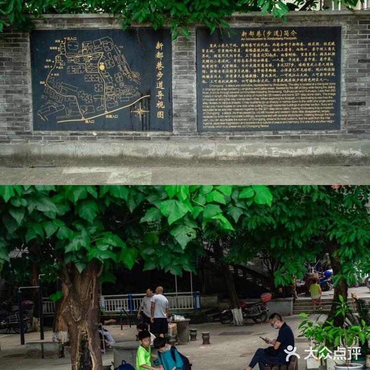 重庆李子坝附近藏着一条小众观景步道：新都巷步道