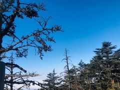 -峨眉山风景名胜区