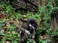 -上海佘山国家森林公园天马山园