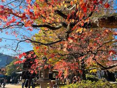 -医王山·飞騨国分寺