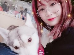 -Husky Go! 哈士奇体验馆·宠物咖啡厅狗咖