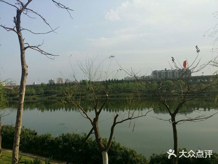 琴亭湖公园android_upload_pic图片