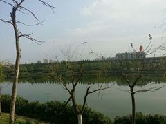 android_upload_pic-琴亭湖公园