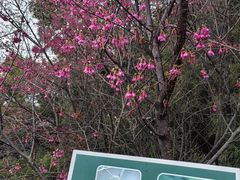-福道