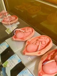 -郑州万安妇产医院