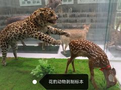 -北京中医药大学-中医药博物馆