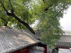 -程府宴-国宴(南长街·四合院店)