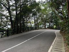 -梧桐山风景名胜区