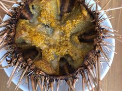 -海胆小馆(东北水饺·春柳店)