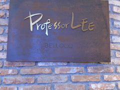 -Professor Lee (K11艺术中心店)