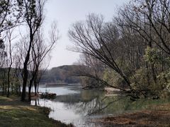 -昆山城市生态森林公园