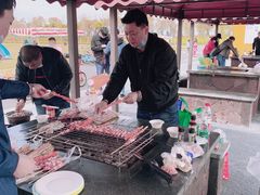 -春花秋色城市公园